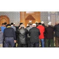 2313 Gebet Mittagsgebet im Gebetsraum der Harburger Moschee. | 